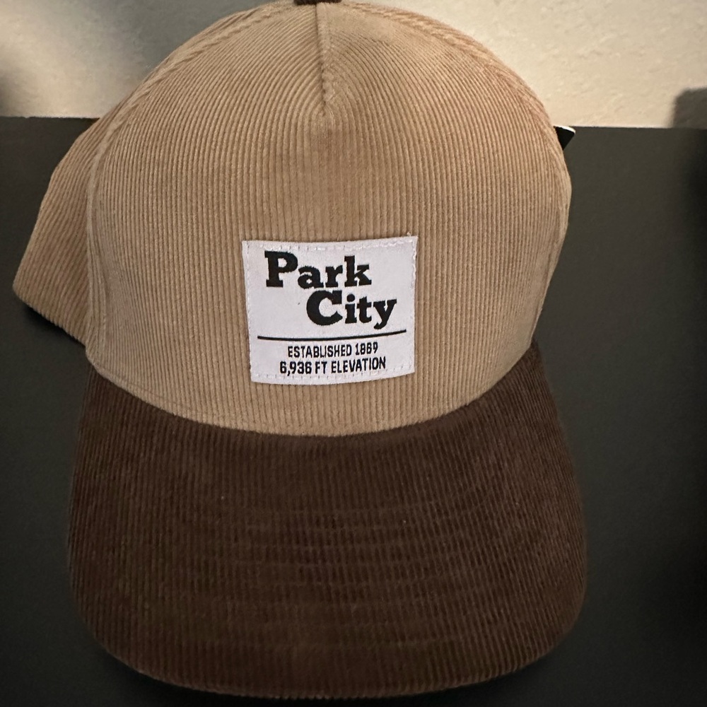Tan and Brown Corduroy Cap